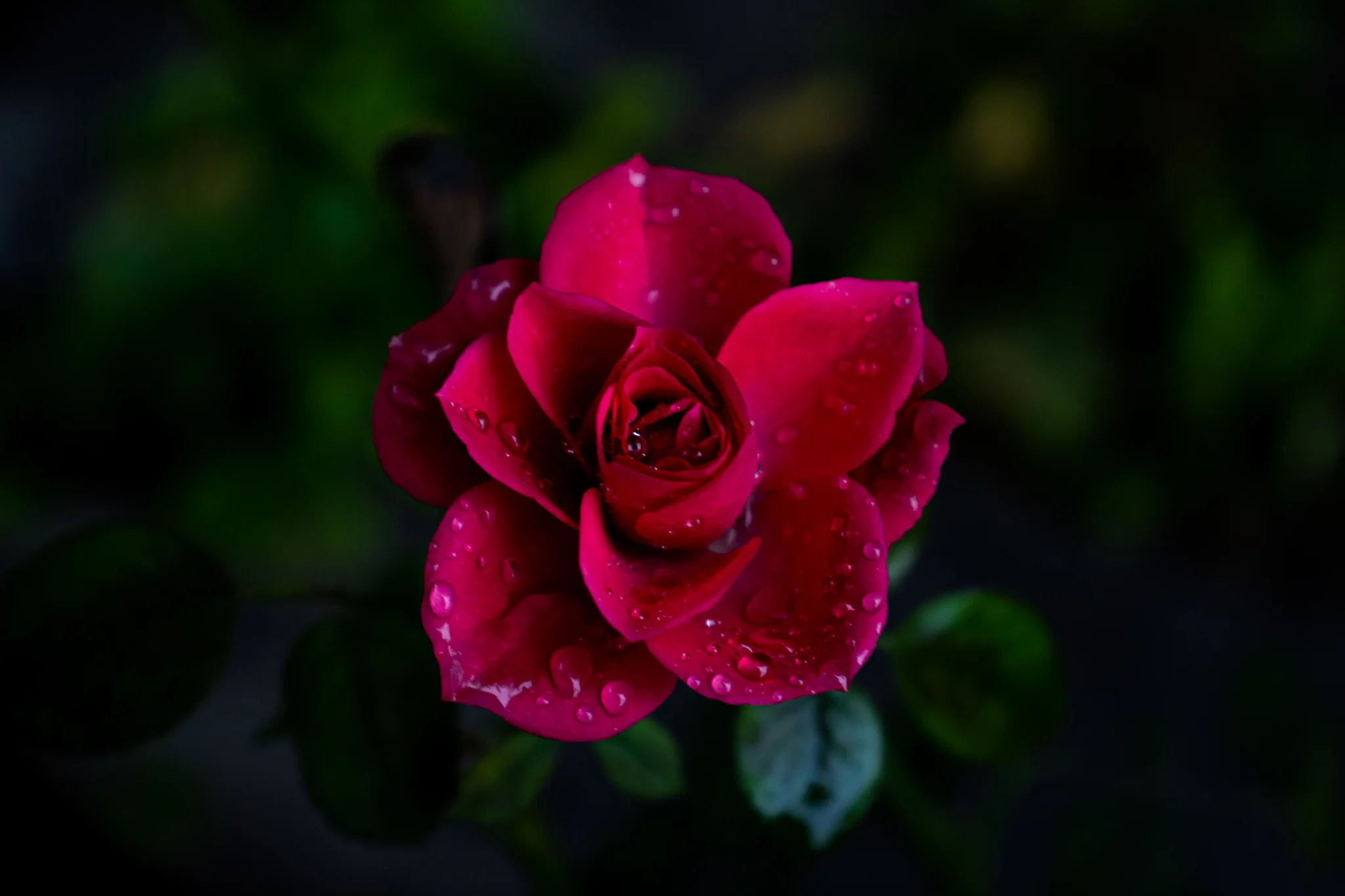 Natura